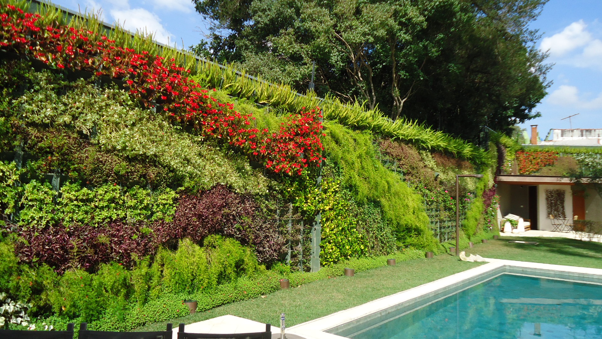 Jardins Verticais