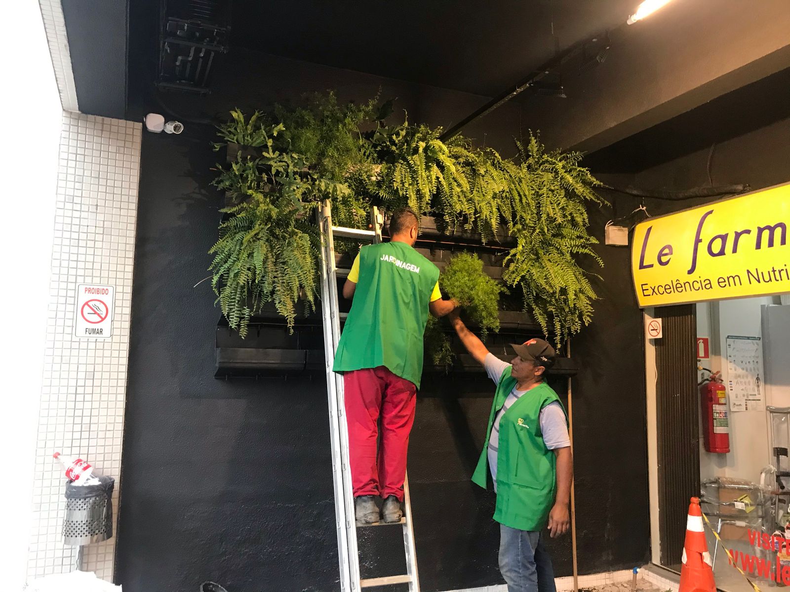 Projeto de Paisagismo 10