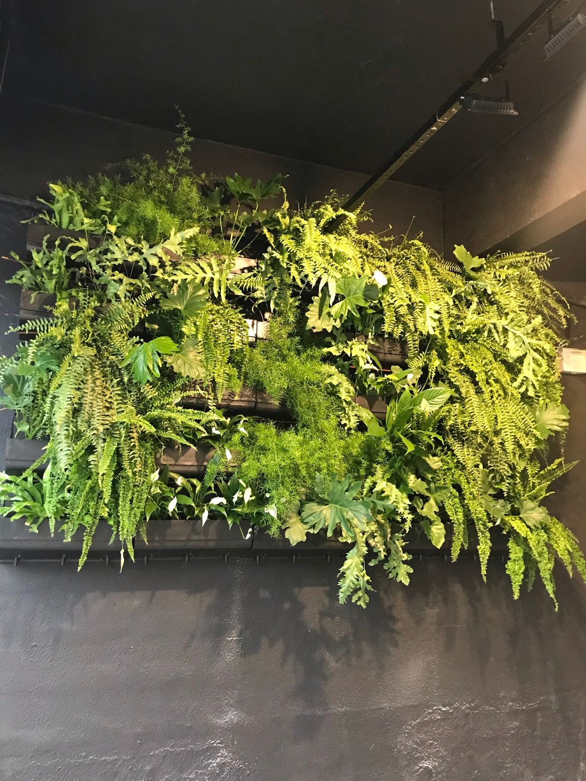 Projeto de Paisagismo 11