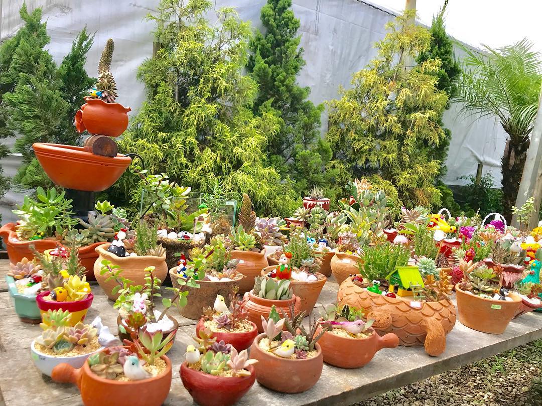 Projeto de Paisagismo 5