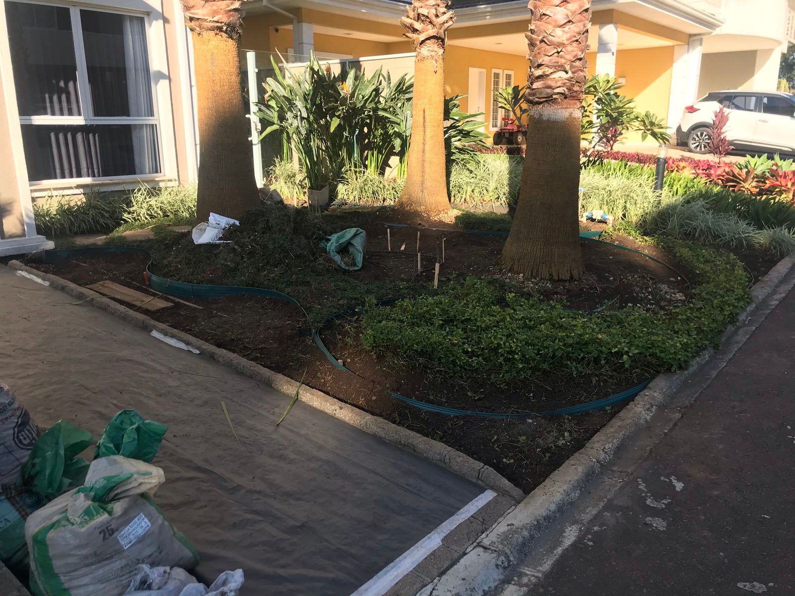 Projeto de Paisagismo 7